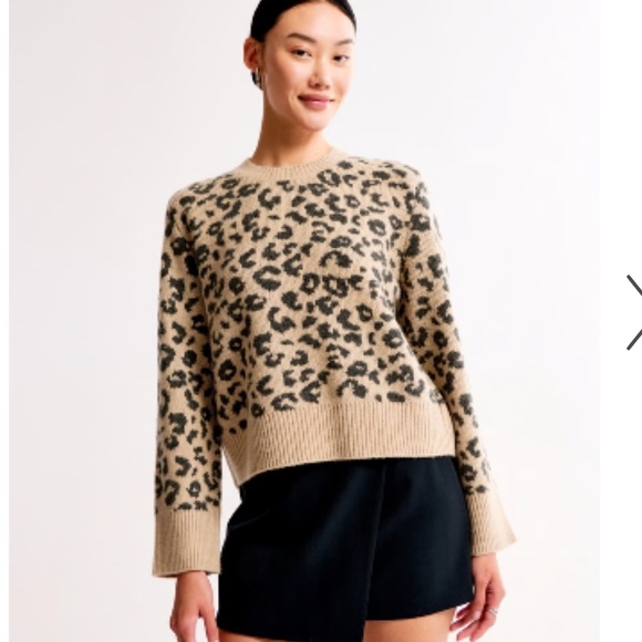 Abercrombie & Fitch Women's Animal Print Sweater - Tan and Black - Picture 1 of 6